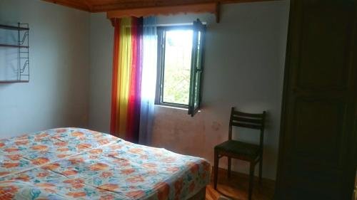 Батуми: Batumi Homestay at Tamar Mephe Avenue