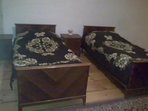 Телави: Guest House Tsitsinatela