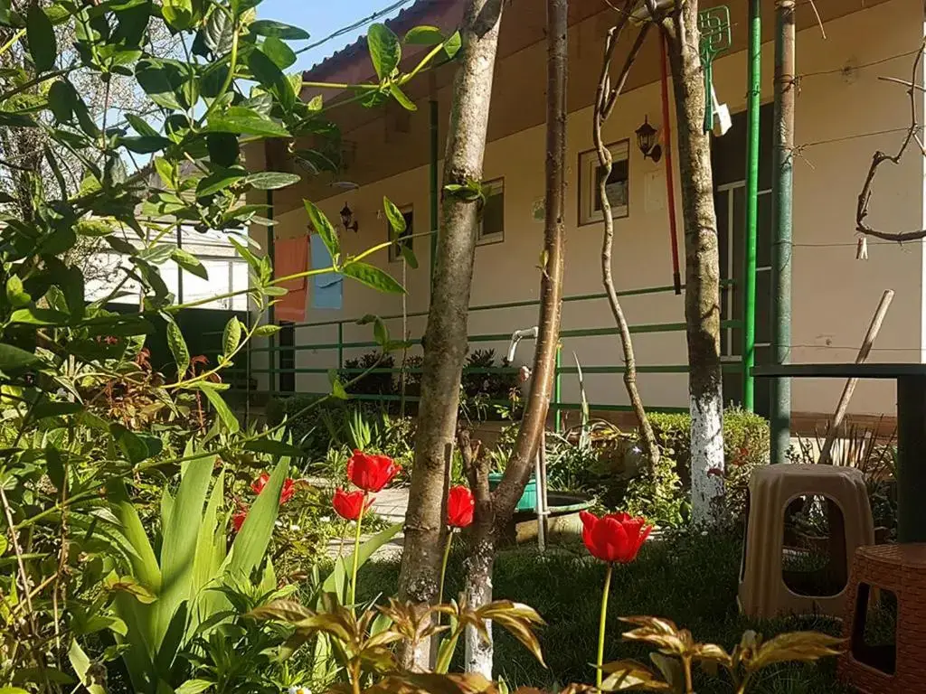 Телави: Guest House Villa