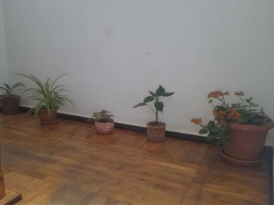 Кутаиси: Hostel Mana Kutaisi