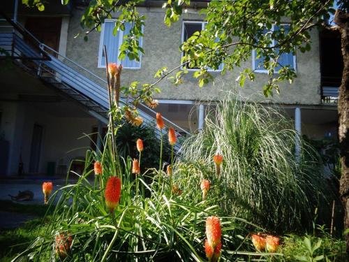 Кварели: Guesthouse Raisa