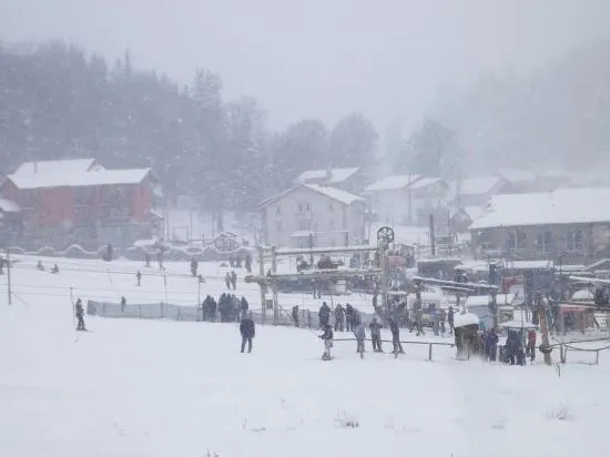 Бакуриани: Villa Sun Valley