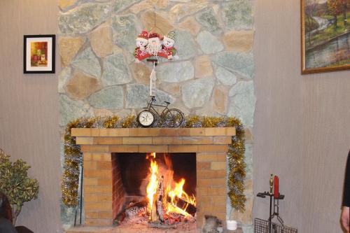 Бакуриани: Villa Sun Valley