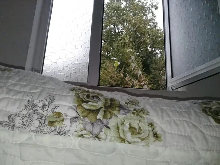 Шеки: Ilgars Guesthouse