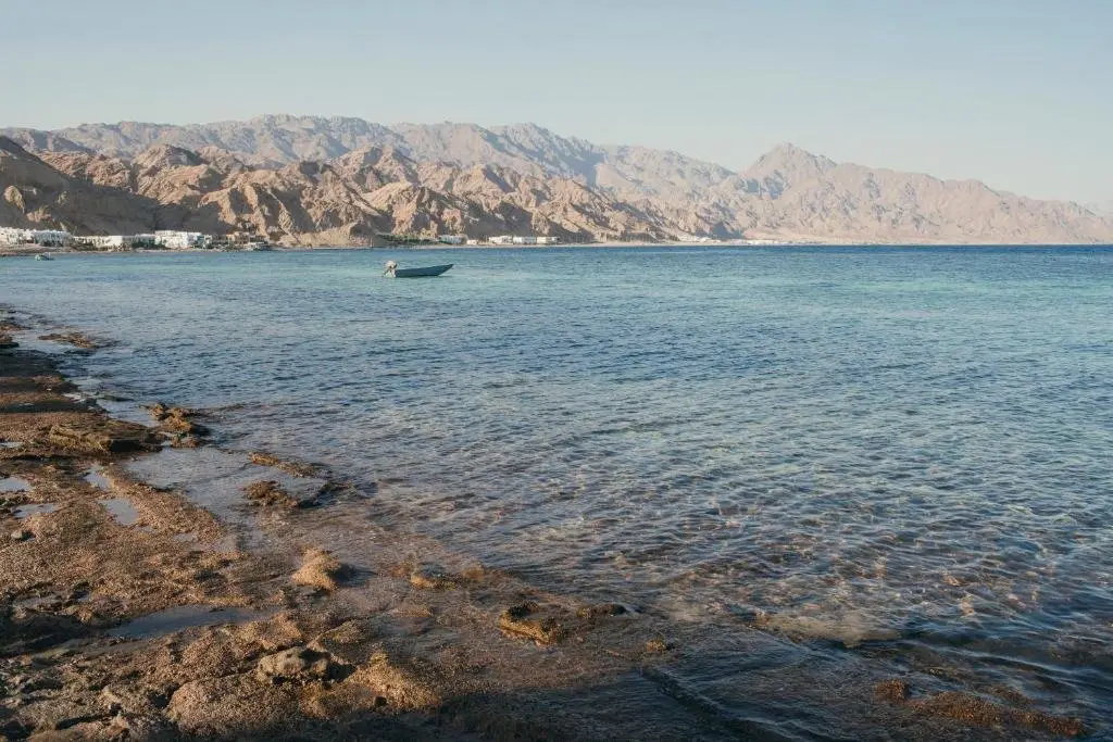 Дахаб: Dar Dahab