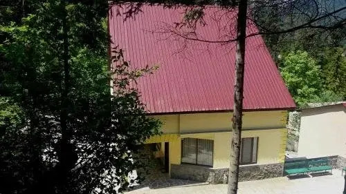 Guest House Borjomi Forest — фото 1