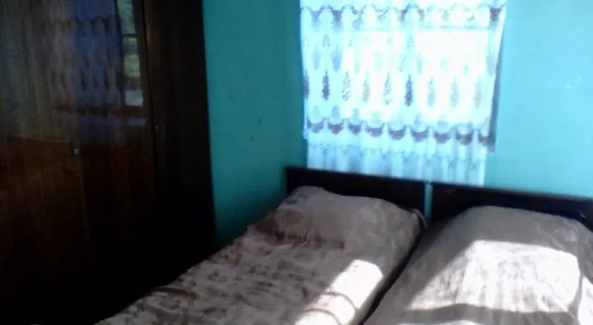 Боржоми: Borjomi Likani Homestay