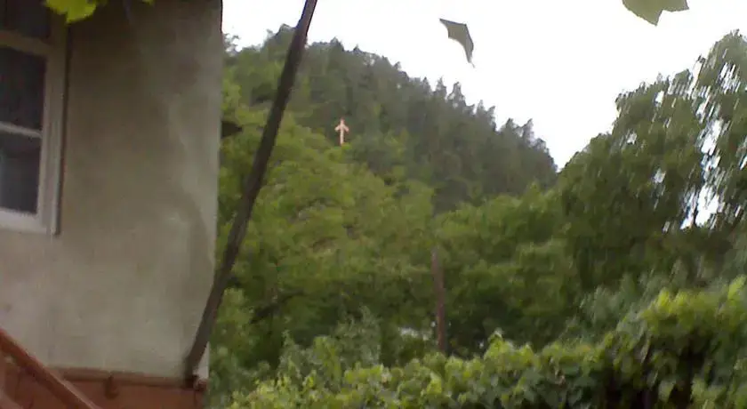 Боржоми: Borjomi Likani Homestay