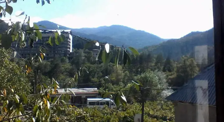 Боржоми: Borjomi Likani Homestay
