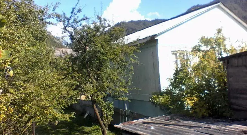 Боржоми: Borjomi Likani Homestay