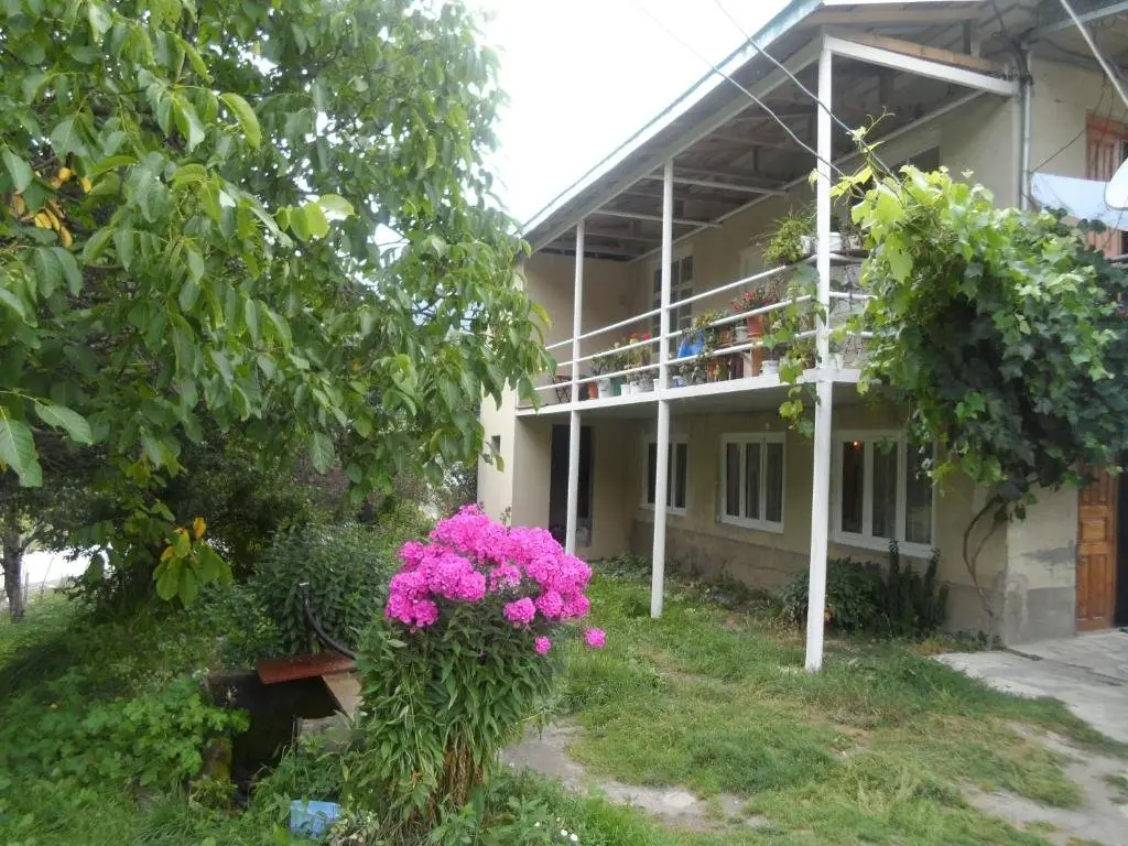 Местиа: Gasthaus am Museum