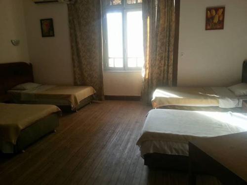 Каир: Louris Inn