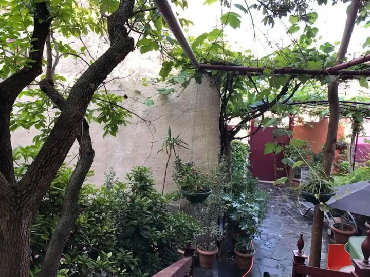 Тбилиси: The house of the botanist