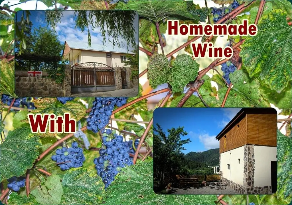 Боржоми: Guest House on Meskheti