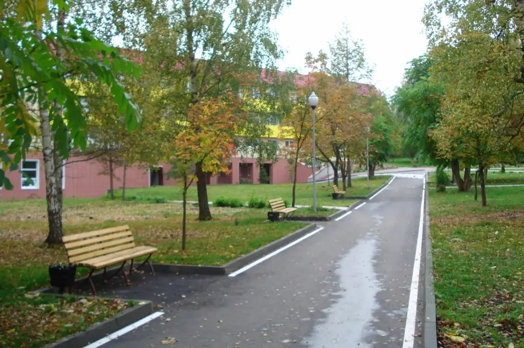 Железняки: Zheleznjaki