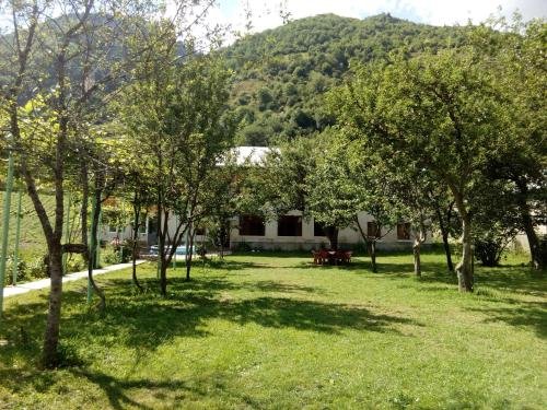 Местиа: Guesthouse of Manoni