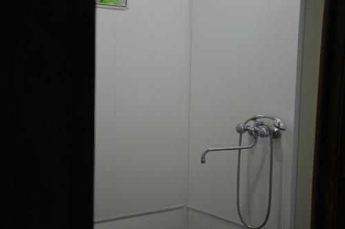 Местиа: Ailama Guesthouse