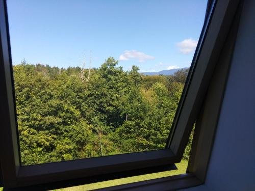 Ахваджа: Country house Zolotoy Bereg