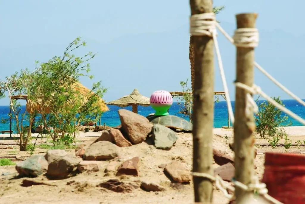 Таба: Safari Beach Nuweiba