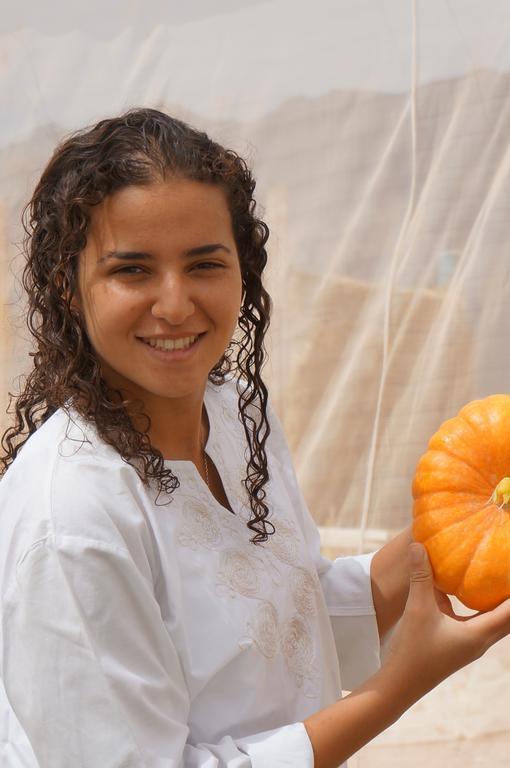 Нувейба: Habiba Organic Farm