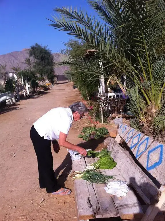 Нувейба: Habiba Organic Farm