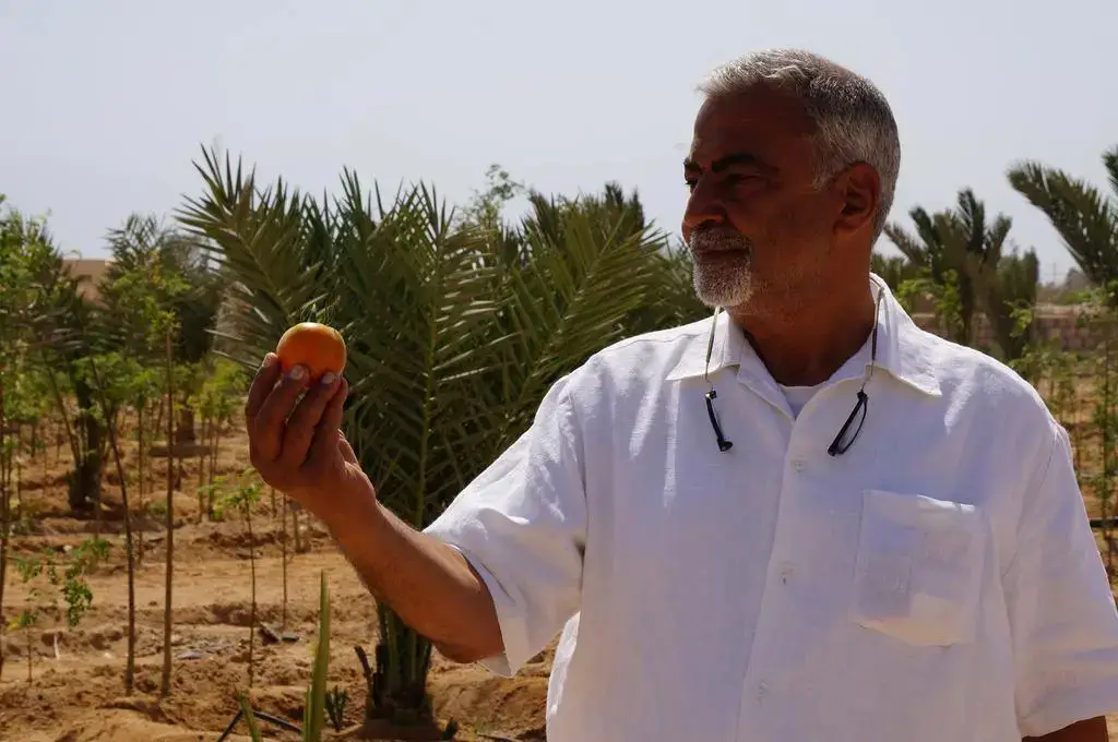 Нувейба: Habiba Organic Farm