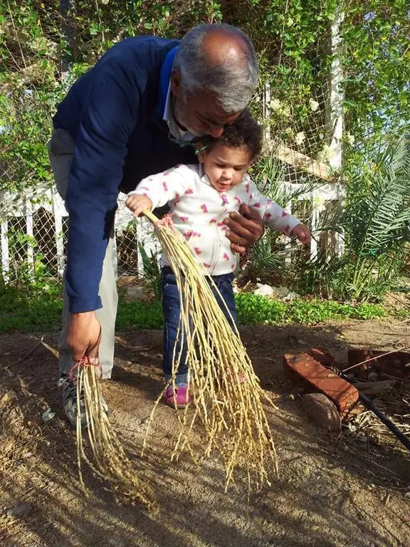 Нувейба: Habiba Organic Farm