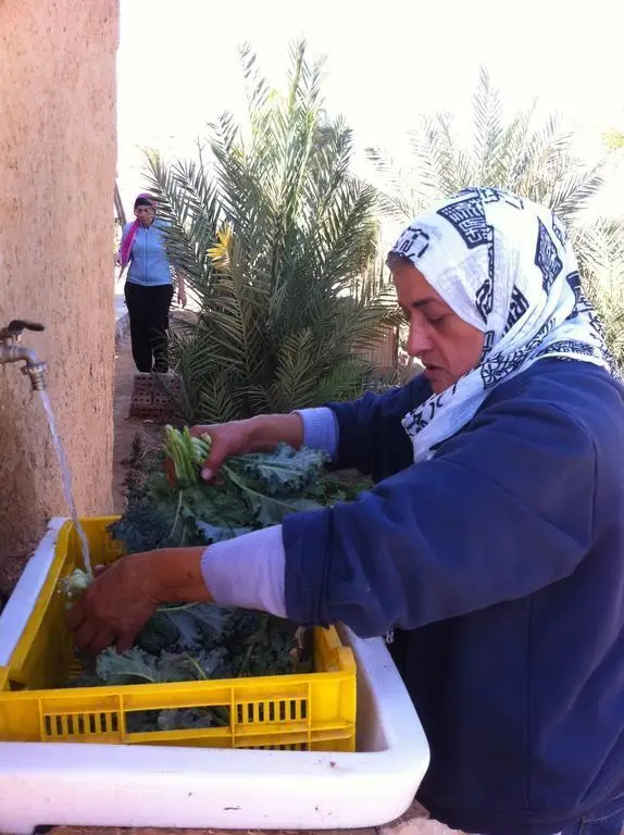 Нувейба: Habiba Organic Farm