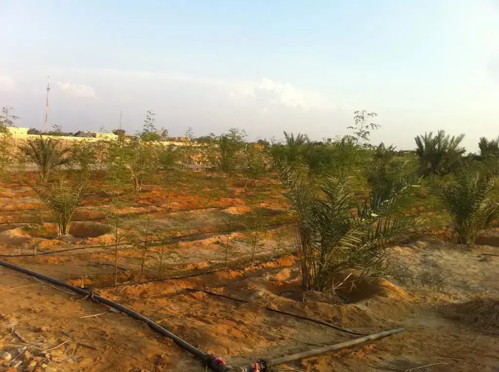 Нувейба: Habiba Organic Farm