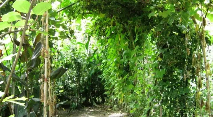 Зугдиди: Guest House Rustaveli 38