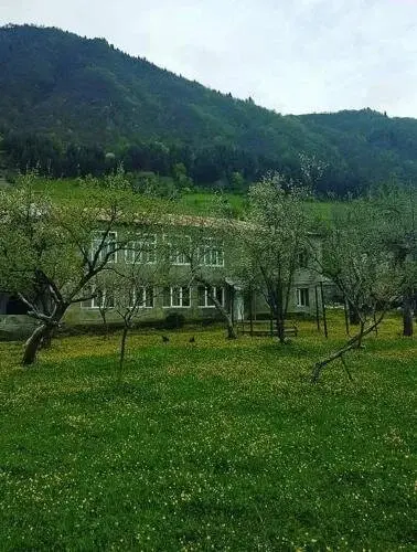 Местиа: Sopio Guesthouse