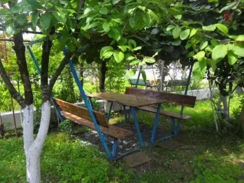 Кобулети: Kobylea