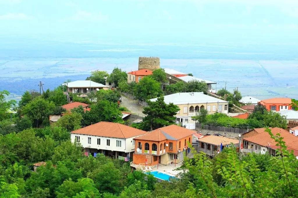 Сигнахи: Guest House Pirosmani 60