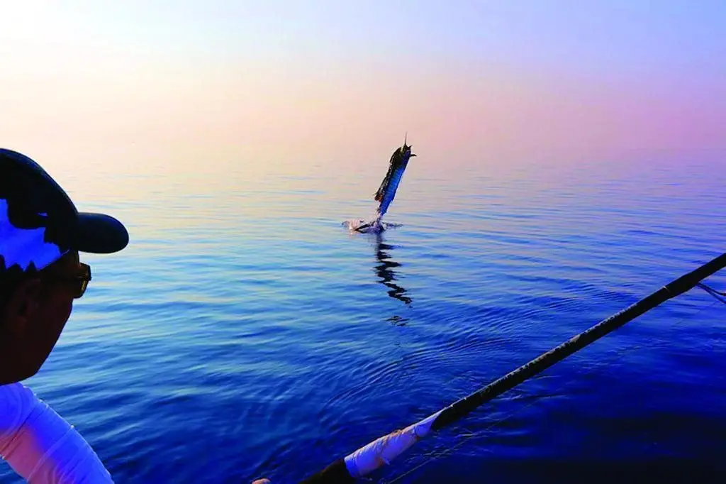 Атолл Баа: Hibaru Fishing Lodge