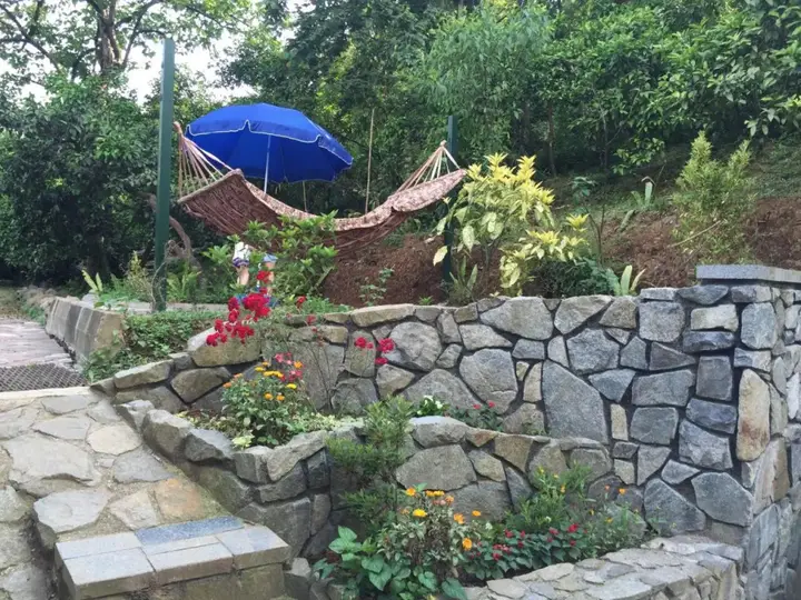 Батуми: Lasha Guest House