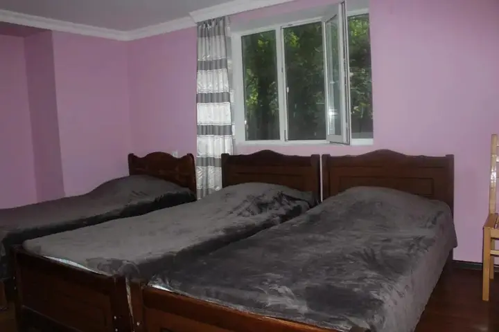 Бакуриани: Makvalas Guest House