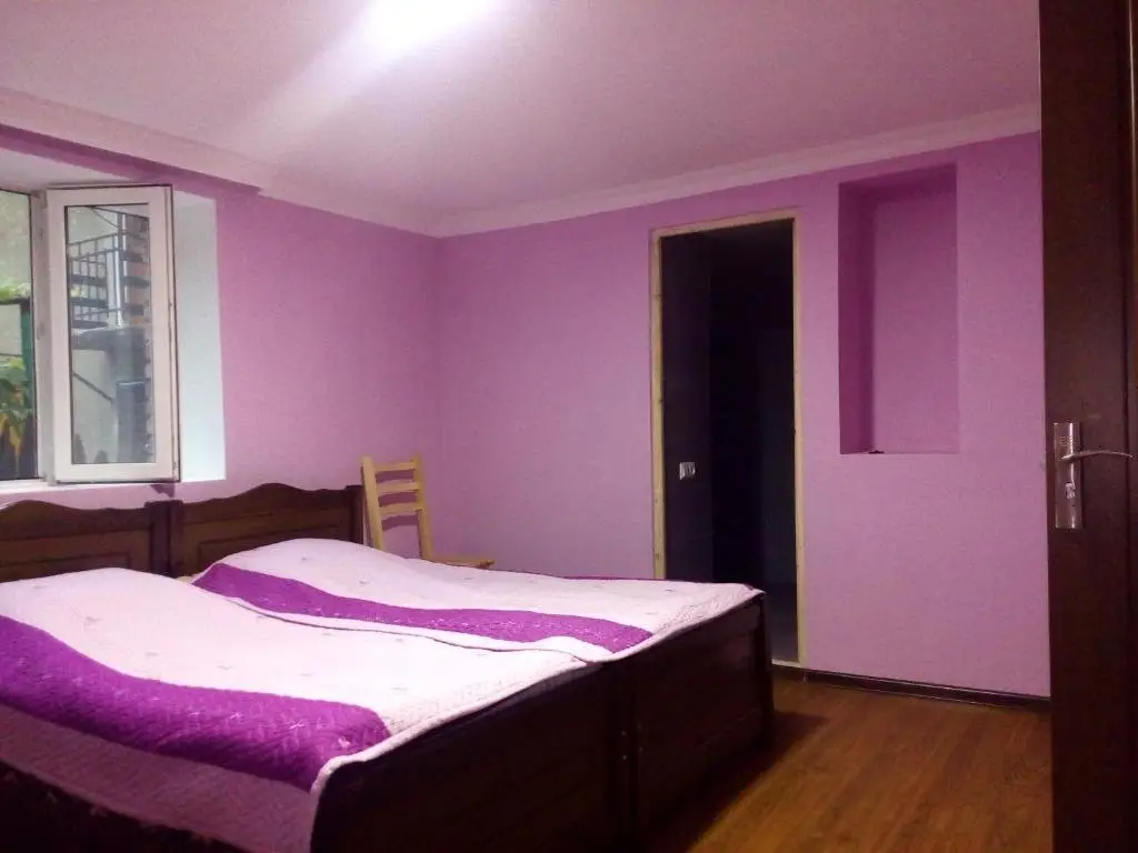 Бакуриани: Makvalas Guest House