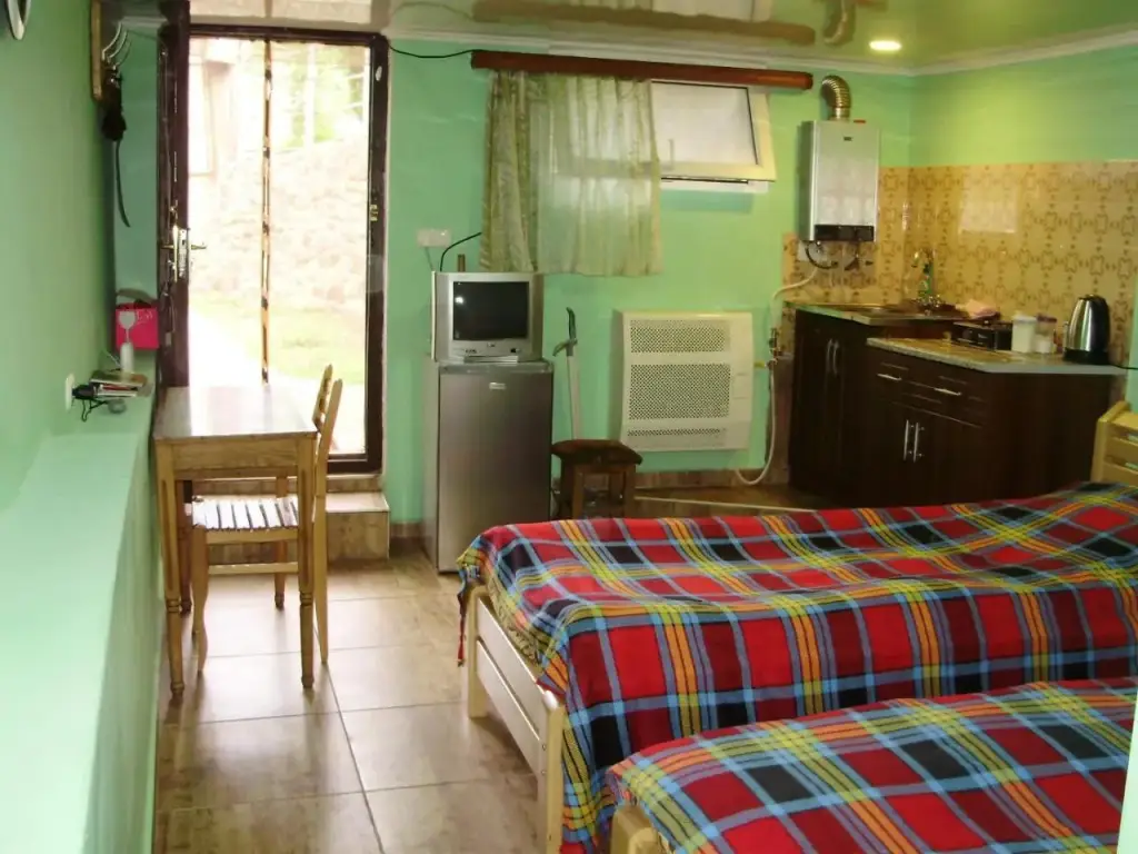 Боржоми: Apartment On Erekle 25a