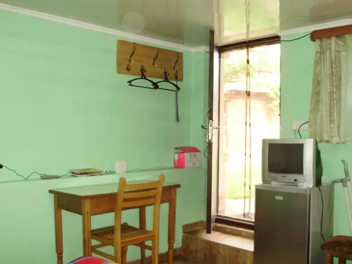 Боржоми: Apartment On Erekle 25a
