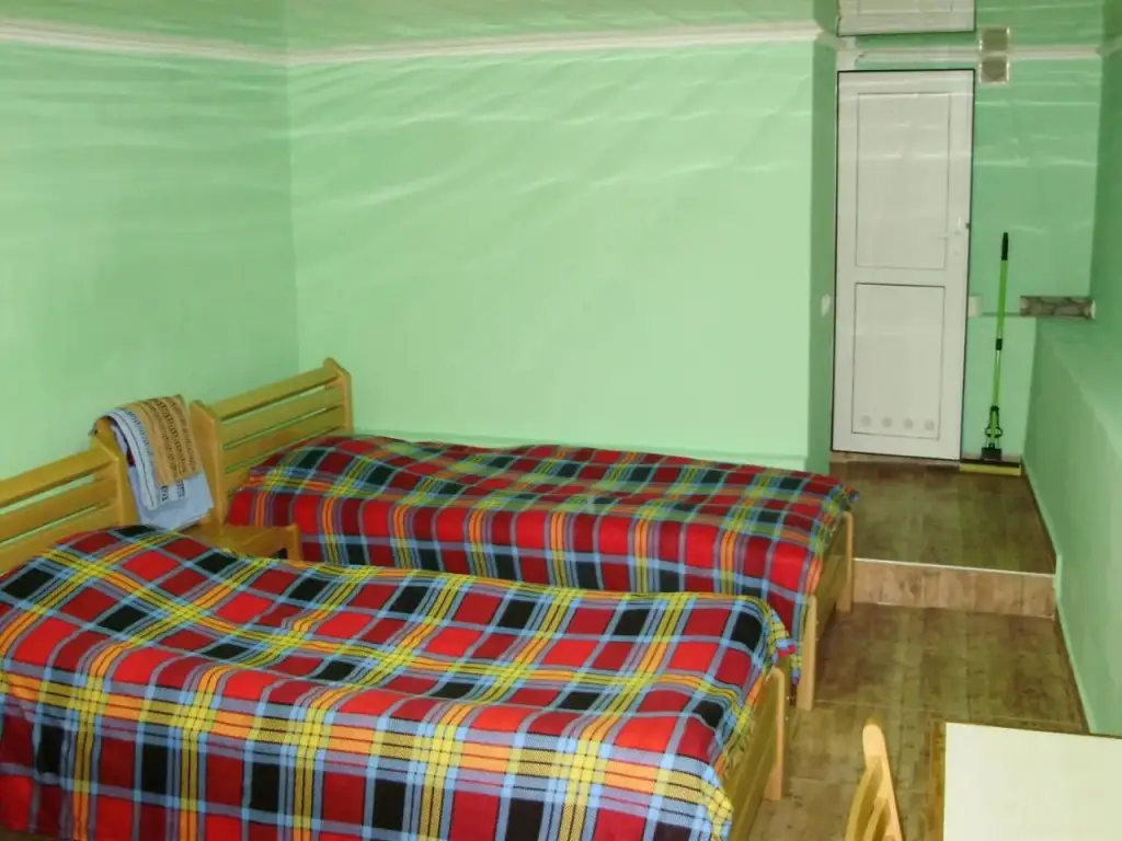 Боржоми: Apartment On Erekle 25a