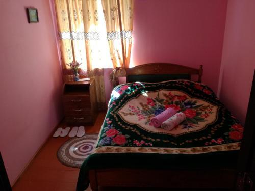 Ушгули: Guest House Ailama