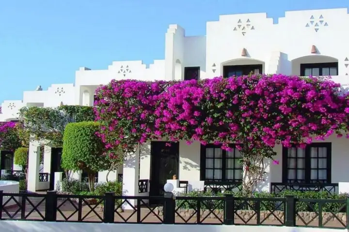 Шарм-эш-Шейх (Шарм-эль-Шейх): Verginia Sharm Resort & Aqua Park