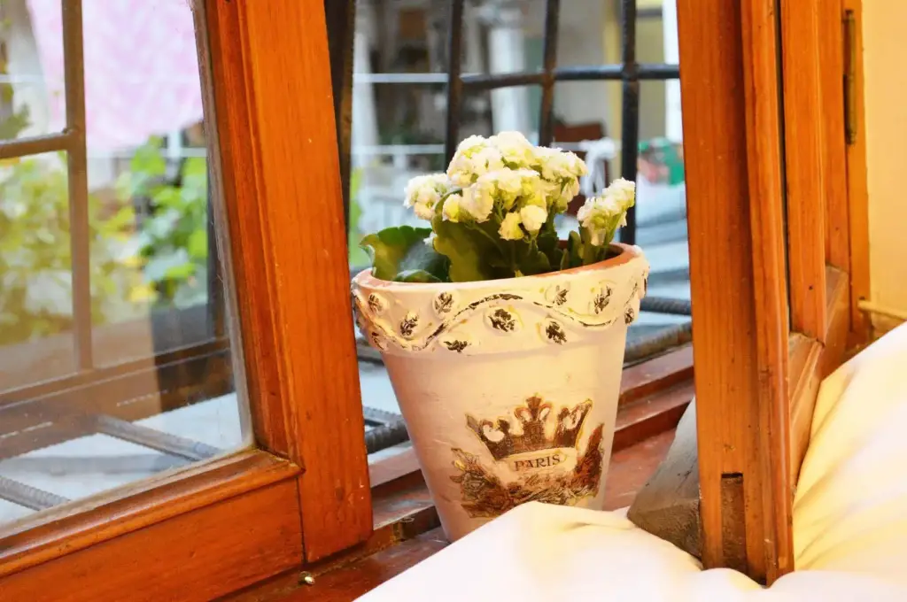 Тбилиси: Patio Hostel
