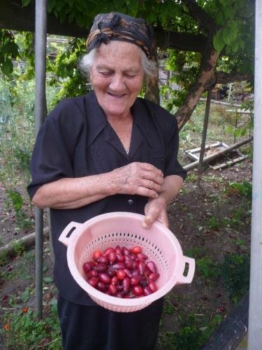 Hotel Agasi — фото 1