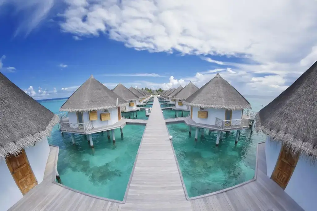 Angaga Island Resort & Spa — фото 1