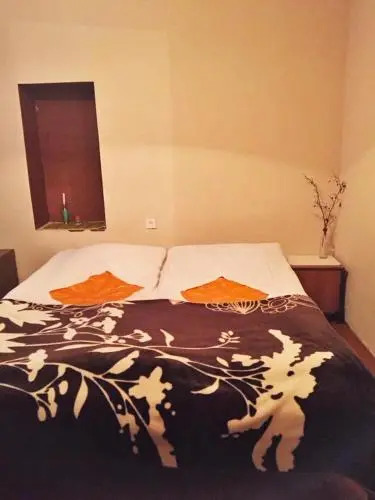 Местиа: Guest house Seti