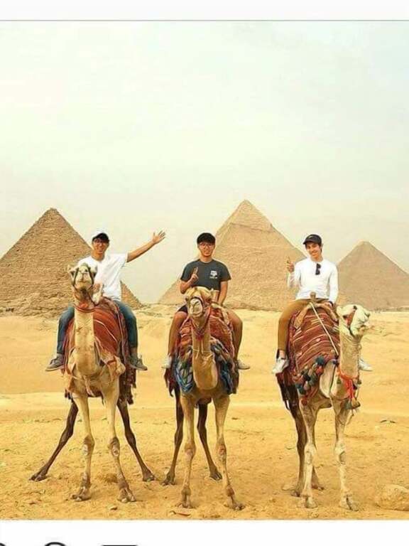 Гиза: Pyramids View Studios