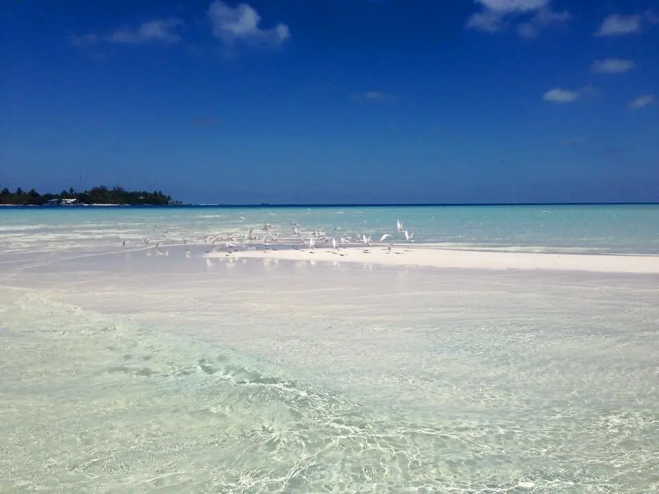 Атолл Алиф-Алиф: Гостевой Дом Holiday Cottage Maldives
