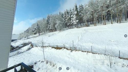 Бакуриани: Guest house Bakuriani