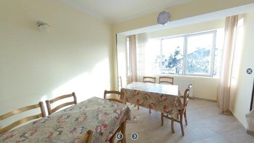 Бакуриани: Guest house Bakuriani